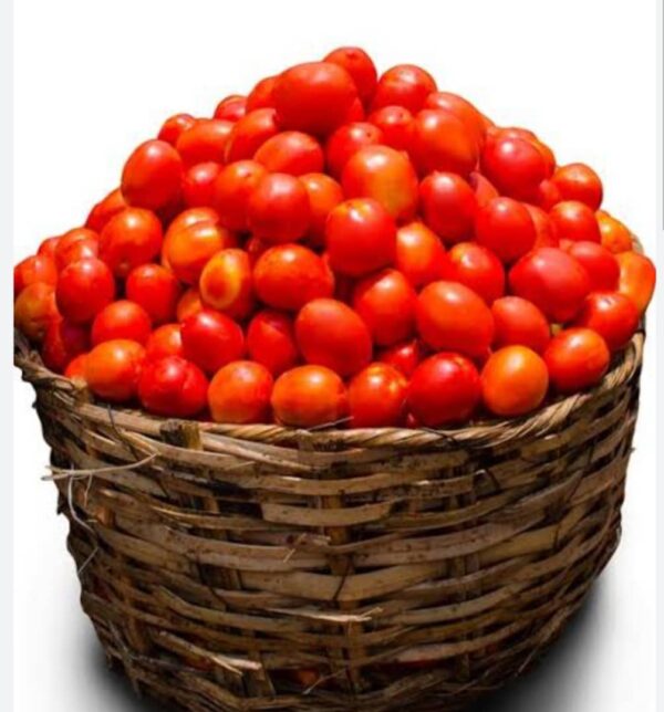 Basket of Tomatoes